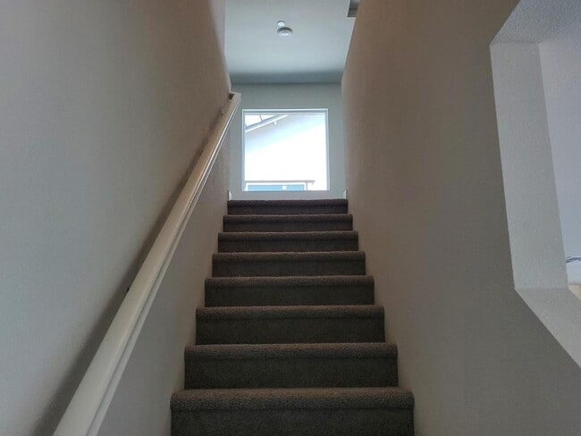 Building Photo - 2057 Shady Tree Cir