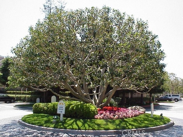 Building Photo - 2800 Plaza del Amo