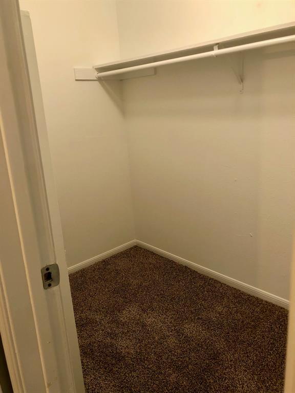 Building Photo - 3506 Cove View Blvd