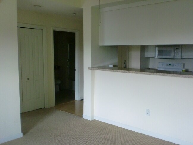 living room/kitchen/hallway - 1315 Alma Ave