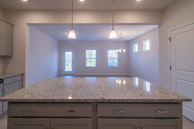 Building Photo - Beautiful Brand New 3 Bedroom 2.5 Bath Townhome in Hickory Glen!