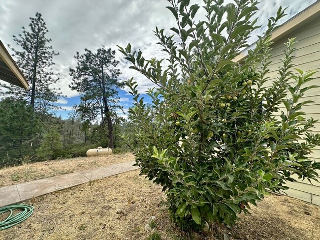 Building Photo - 3 Bedroom 2 Bath nestled in Grass Valley