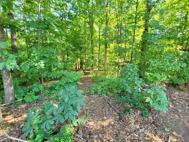 Building Photo - 109 Highland Mist Cir