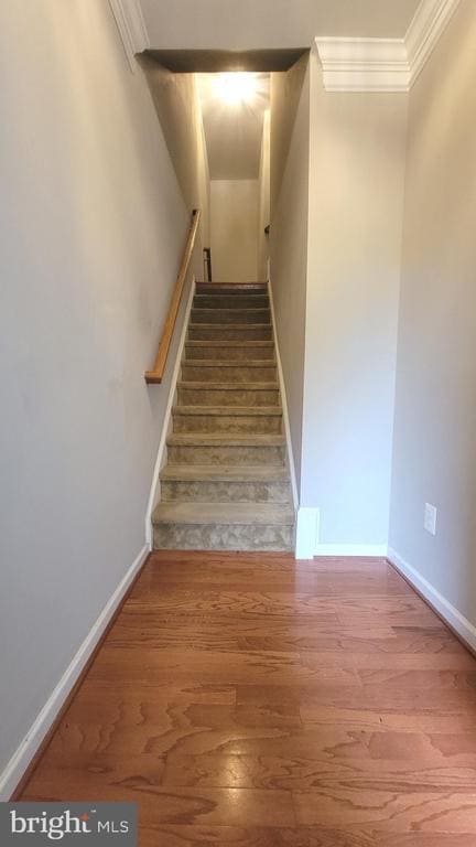 Building Photo - 20479 Greymont Terrace