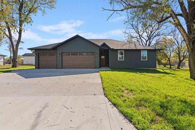 Primary Photo - Available now!