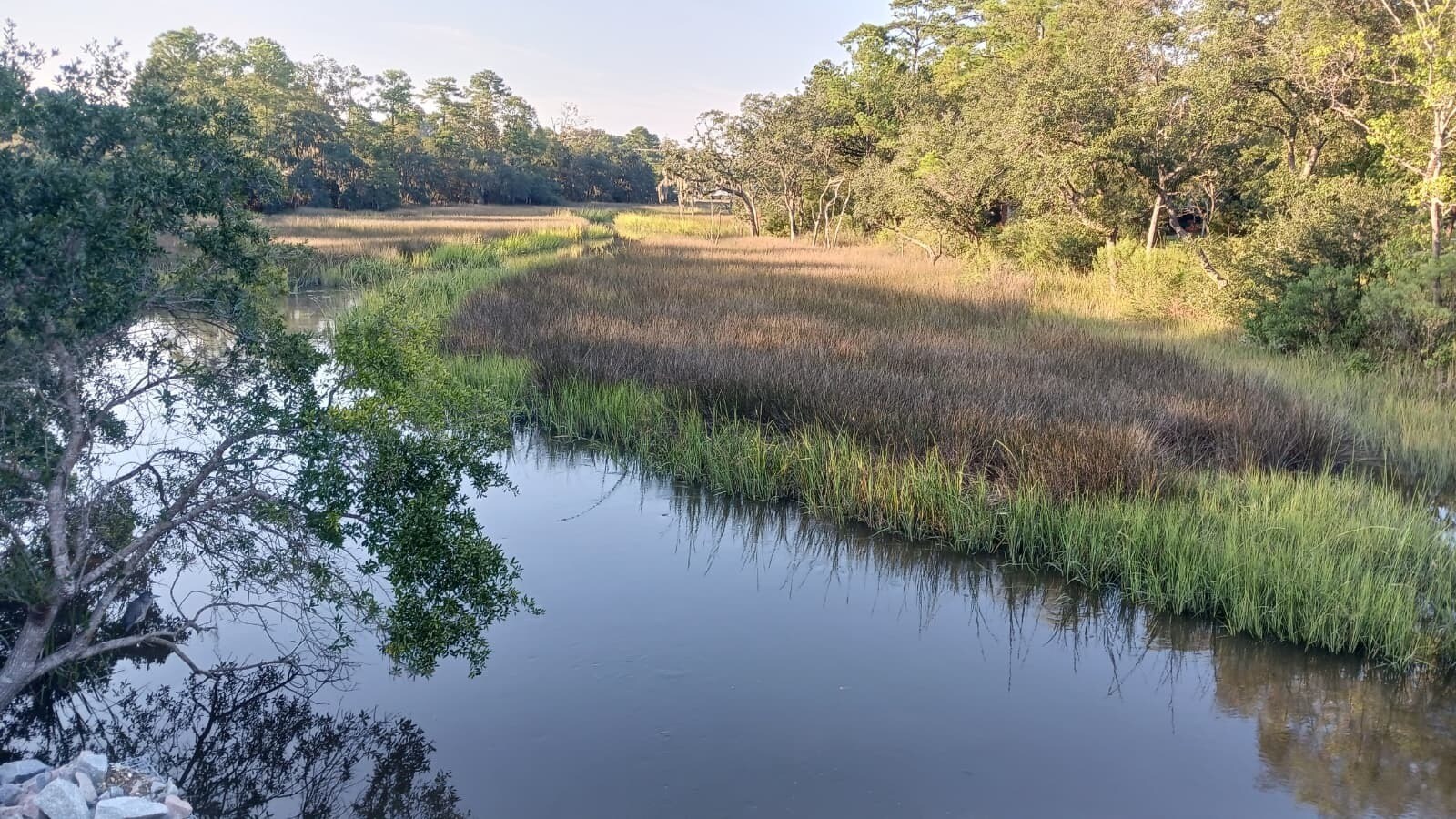 Views from Greenway - 2039 Rondo St