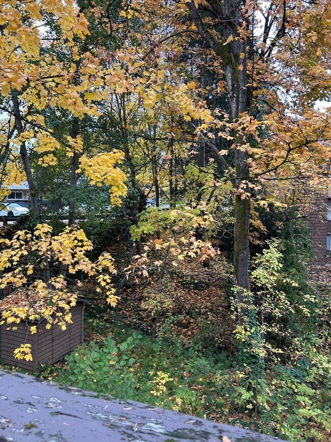 Building Photo - 2bd/1.5ba Tukwila Townhome