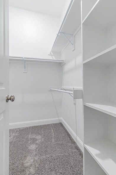 Building Photo - 422 Oleander Dr