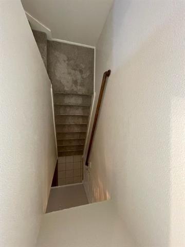Building Photo - 11725 Cottontail Dr