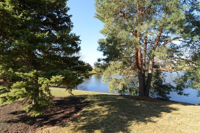 Building Photo - 7311 98th Ave