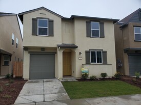 Building Photo - 256 Shafer Ave