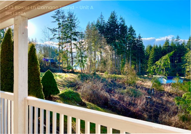 Building Photo - Sunny and Bright Territorial View Home