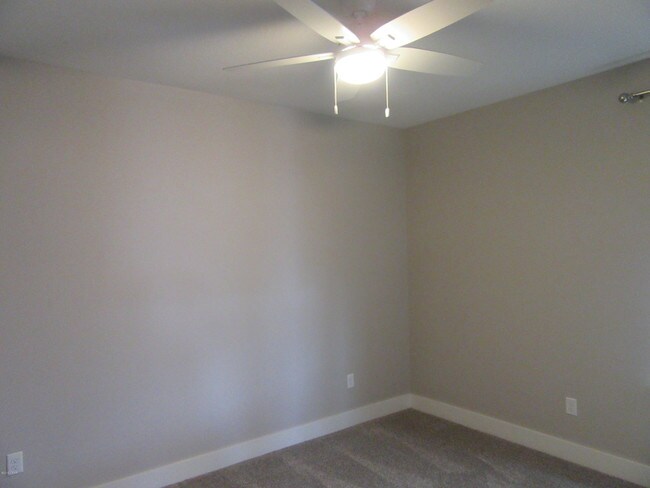 Building Photo - 1117 Blazing Star St