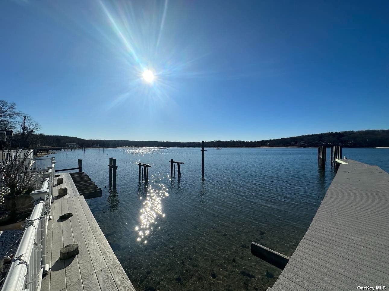 Building Photo - 147 Woodbine Ave