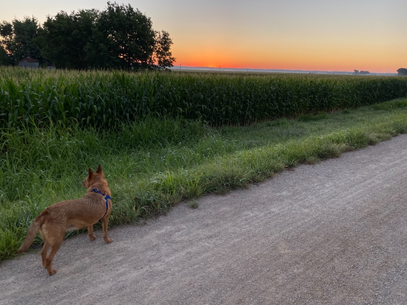 Building Photo - 246 N 8th St