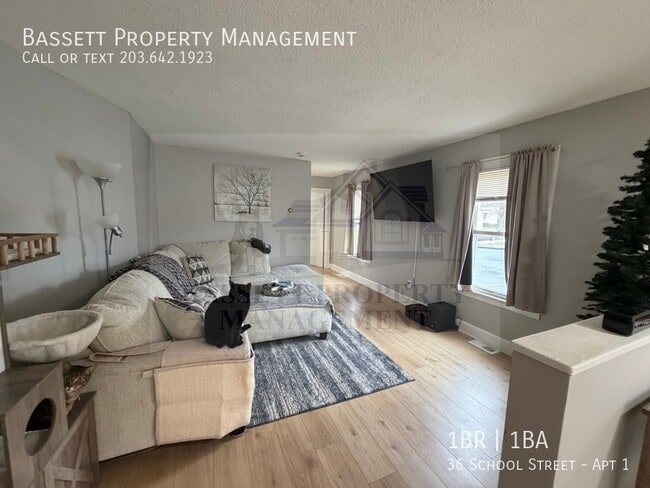 Building Photo - 36 School St