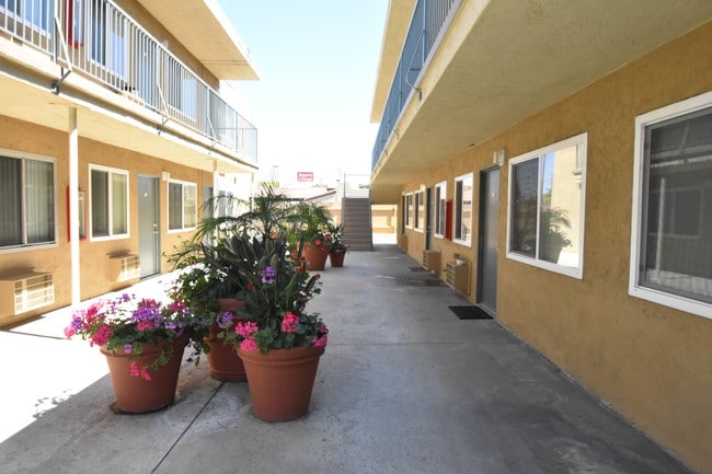 Primary Photo - Pacific Palms