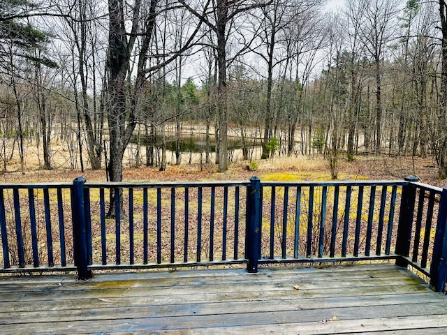 Gorgeous backyard view with pond - 11336 N Sunset Cir