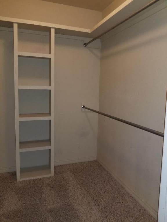 Building Photo - 2803 Conner Dr