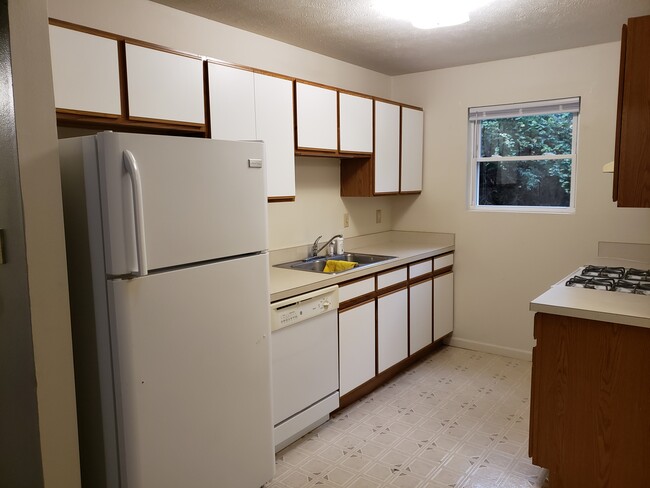 Kitchen - 819 Antler Dr