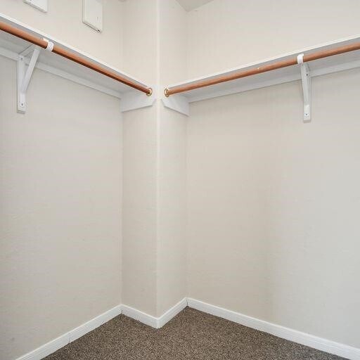 Building Photo - 2723 Oak Ridge Park Dr