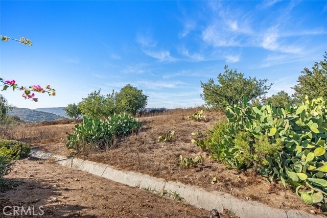 Building Photo - 2 Crystalglen