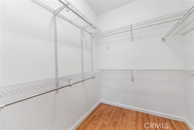 Building Photo - 12901 Ternberry Ct