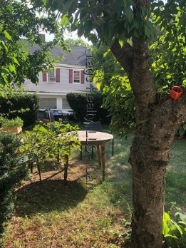 Primary Photo - 84 Thorndike St