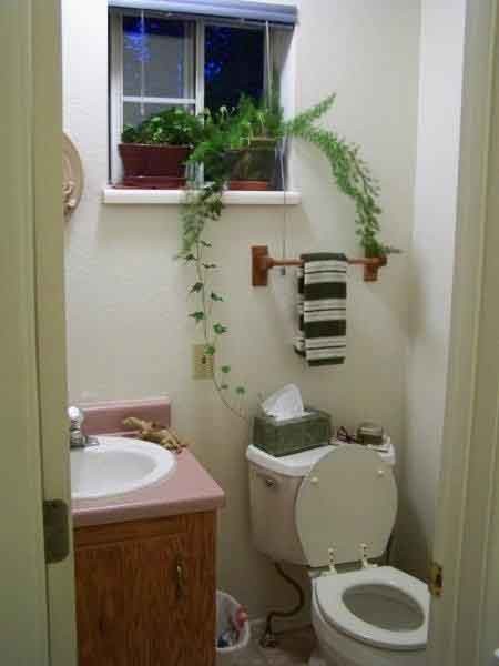 Downstairs half bath - 346 S Elm St
