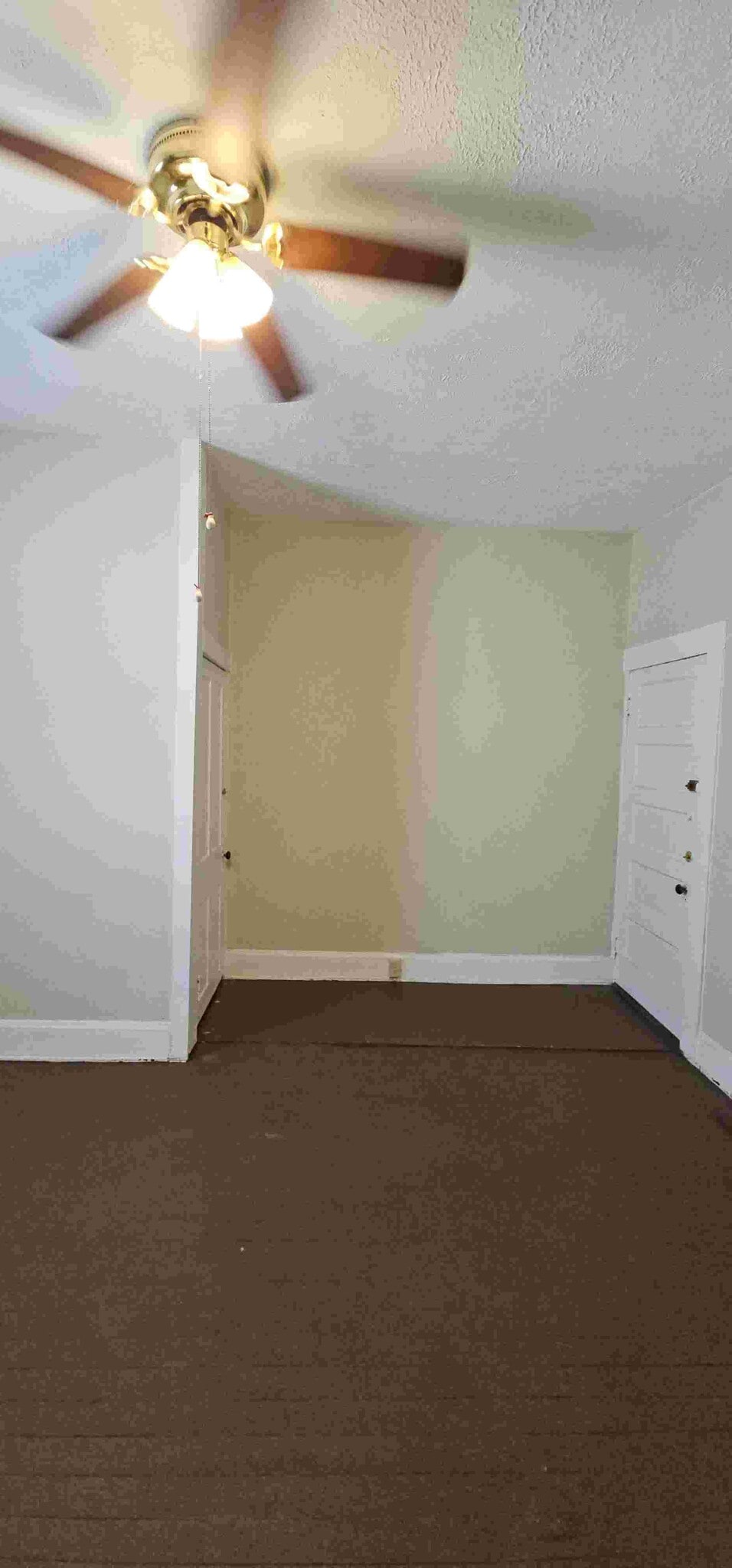Building Photo - 2943 Jessamine St