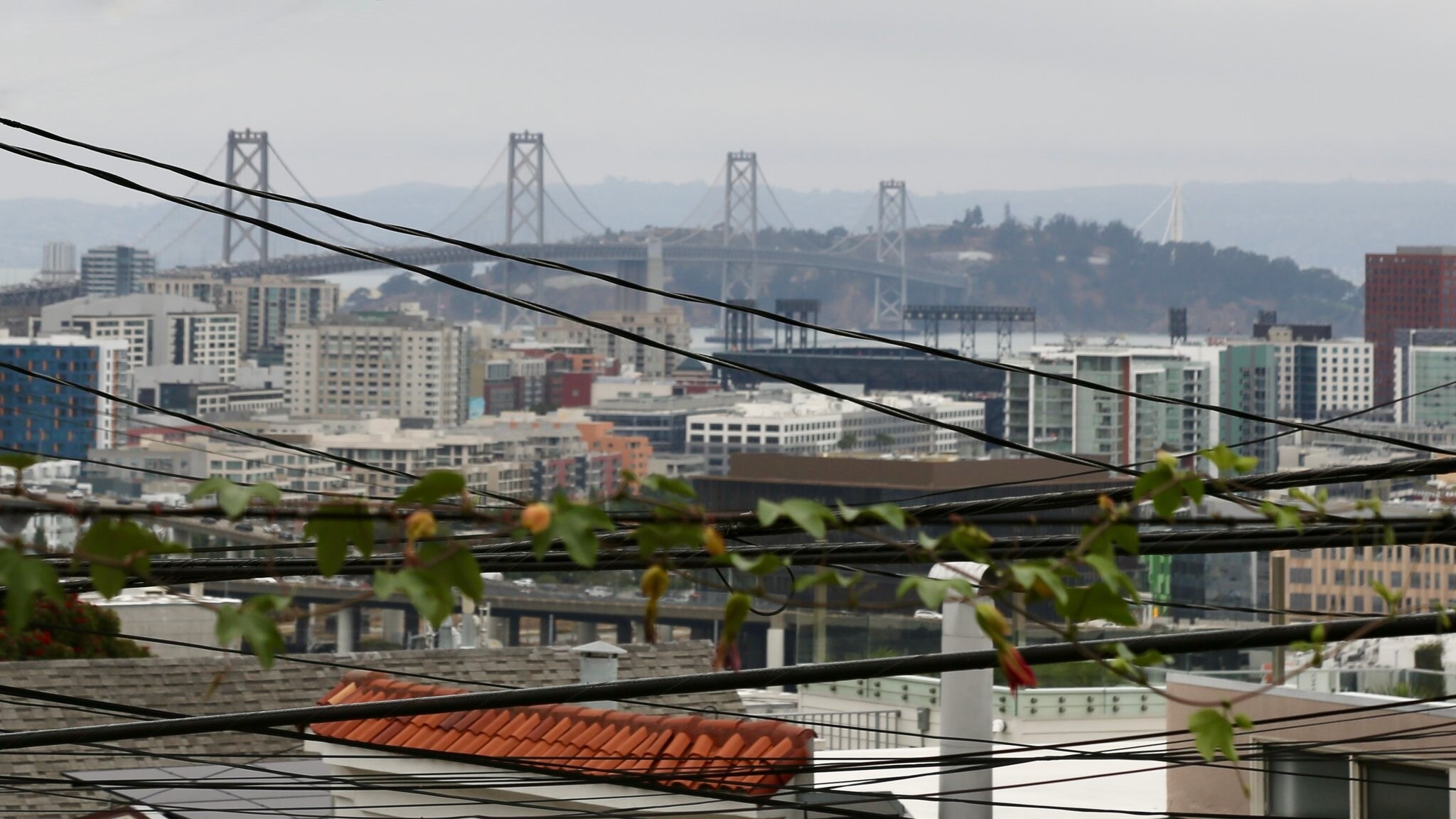 Building Photo - 748 Kansas St