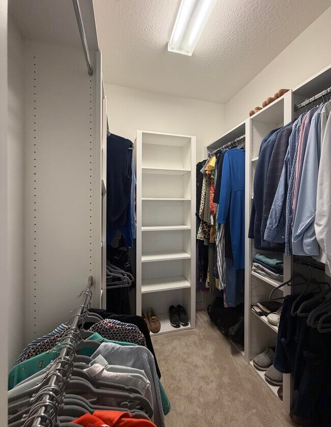 Building Photo - 223 Soriano Dr