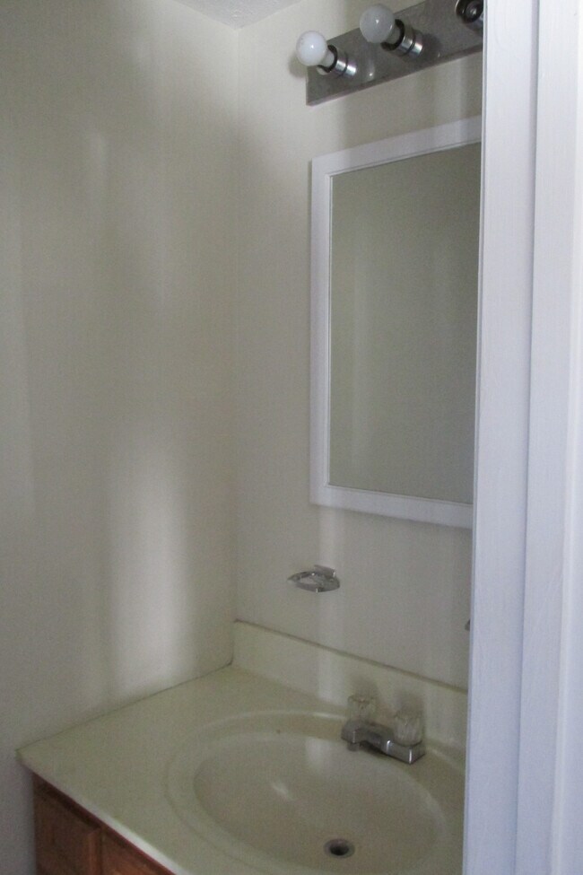 downstairs bath - 223 Deer Ridge Trail