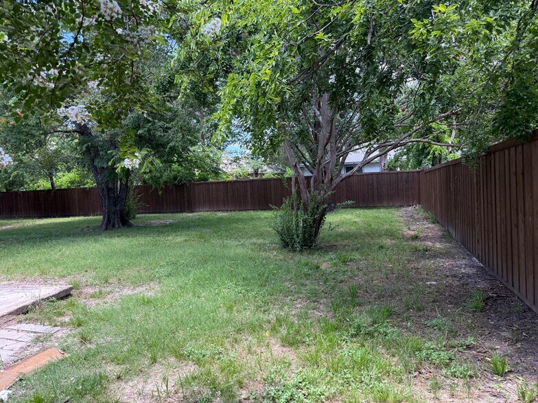 Backyard - 117 Westway Dr
