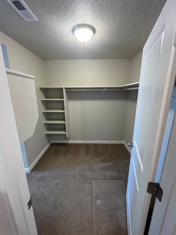 Building Photo - 3709 E Warm Creek Ave