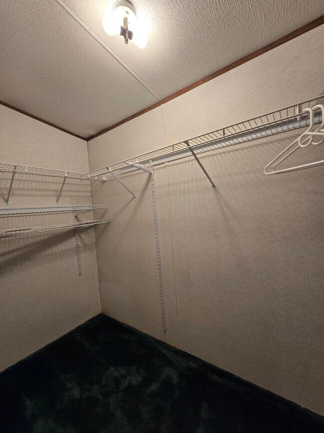 Building Photo - 1036 Hancock Mill Ln