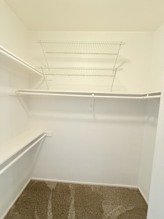 Building Photo - 1345 Clasico Dr