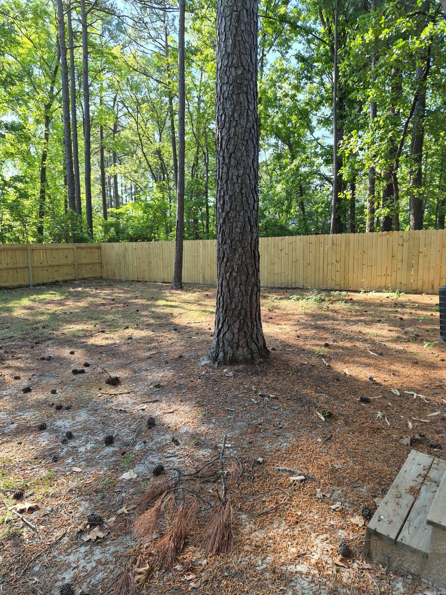 Building Photo - 719 Hedgelawn Way