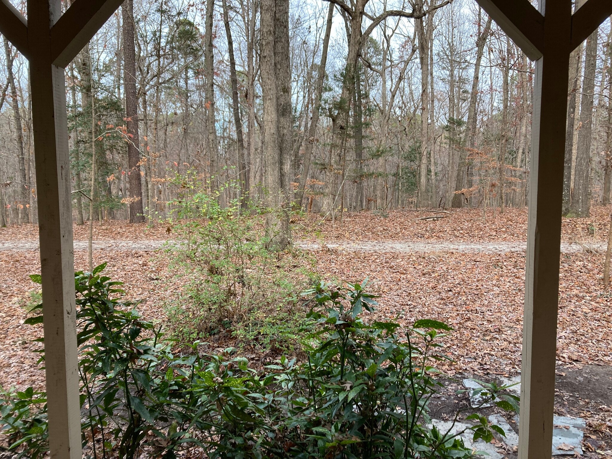 Your view from the rocking chair front porch - 2212 Old Kearney Rd