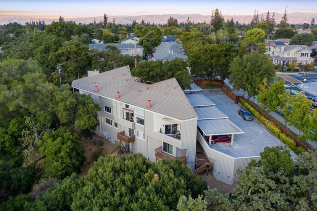 Building Photo - Renovated Los Gatos Retreat Backing to Oak Meadow Park