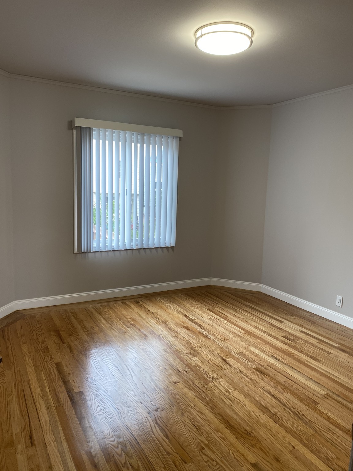 Building Photo - 257 Rome St