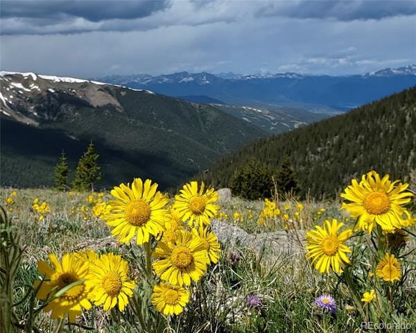 Building Photo - 10000 Ryan Gulch Rd