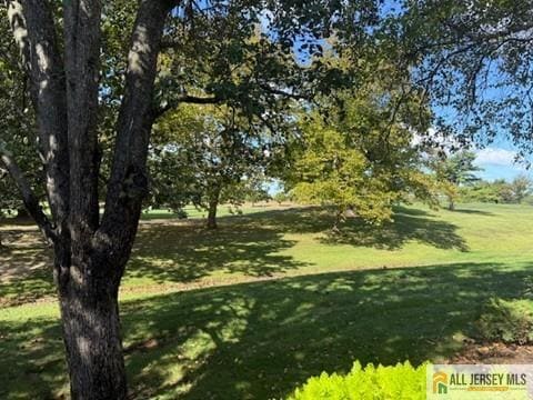 Building Photo - 28 Daniel Webster Ave