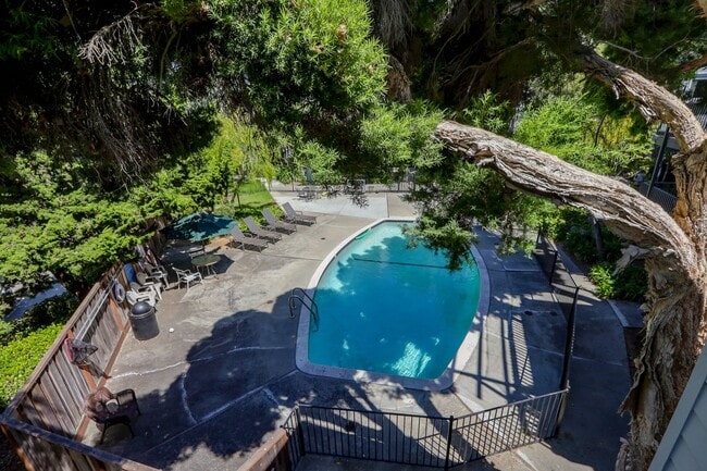 Building Photo - 1BR/1BA Pet-Friendly Top-Floor Condo with Bonus Room & Resort-Style Amenities | San Mateo | YouTu...