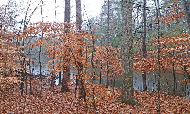 Building Photo - 100 Wiley Hills Trail