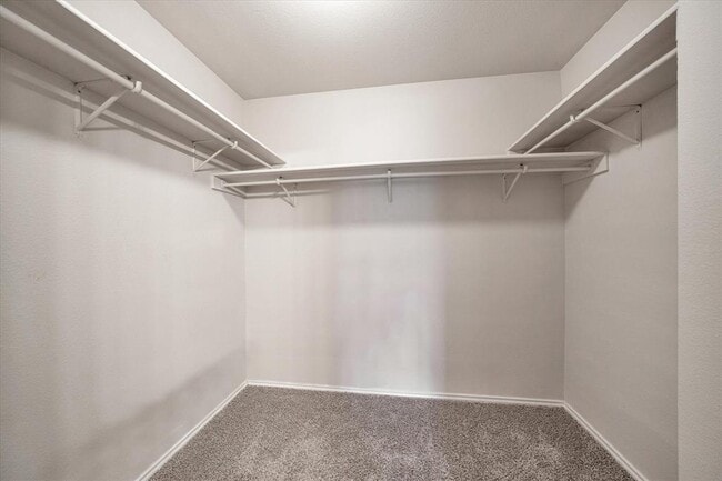 Building Photo - 1701 Balsam Way
