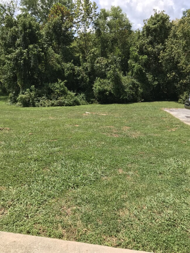 Building Photo - 1527 Meadow Spring Dr