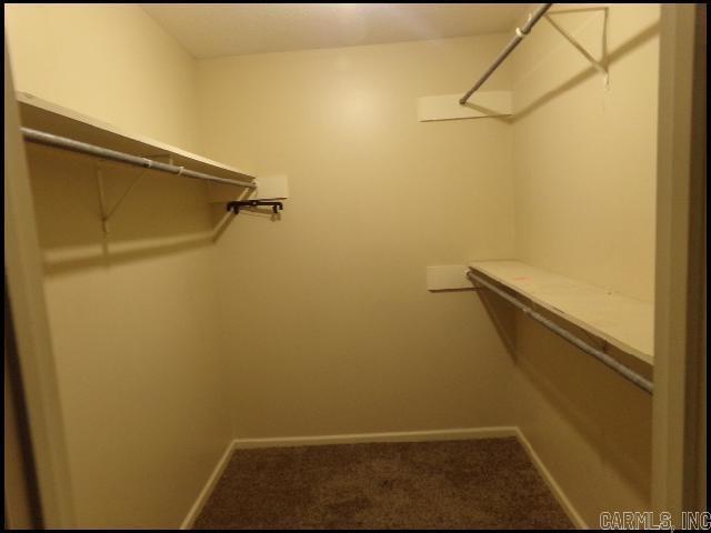 Building Photo - 1813 Sanford Dr