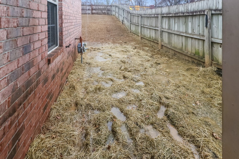 Building Photo - 9782 Pigeon Roost Park Cir