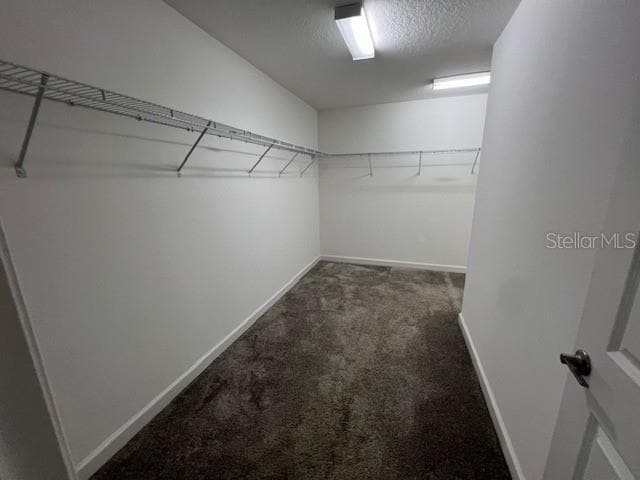 Building Photo - 11138 Cyrilla Woods Dr
